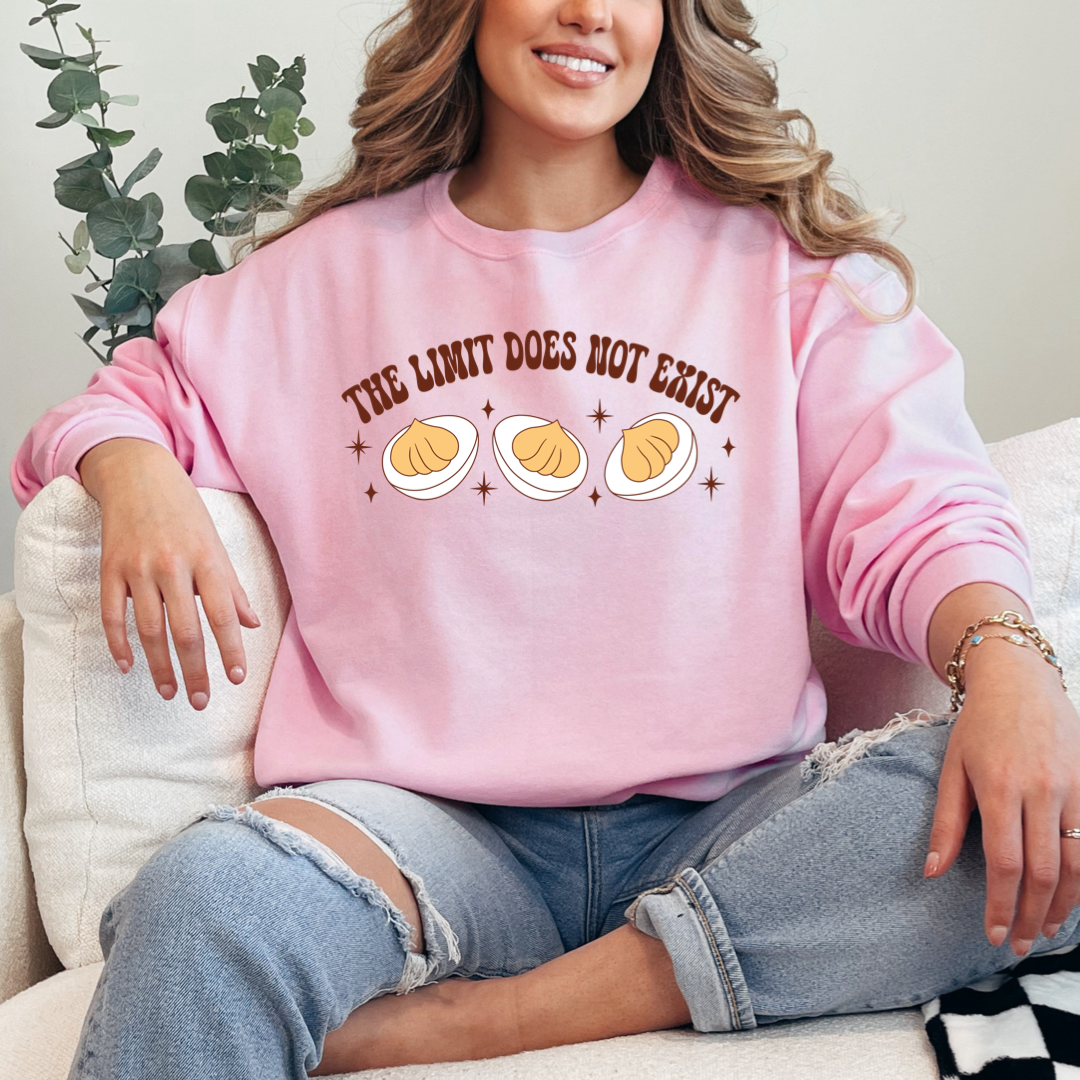 The Limit Does Not Exists Crewneck & Hoodie