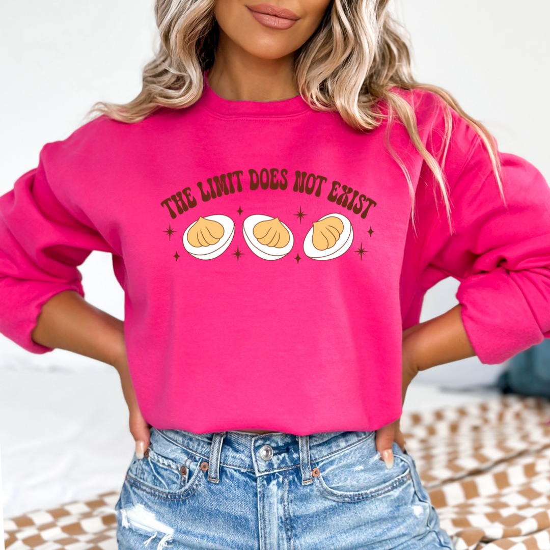 The Limit Does Not Exists Crewneck & Hoodie