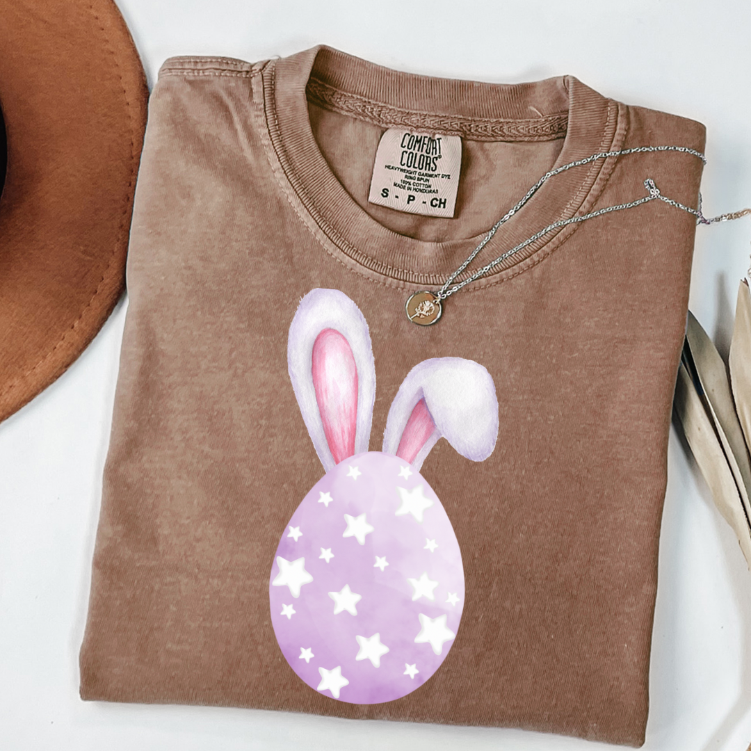 Customized adult comfort colors espresso brown graphic tee with purple watercolor egg with white stars matching crewneck and hoodies available in youth and adult sizes