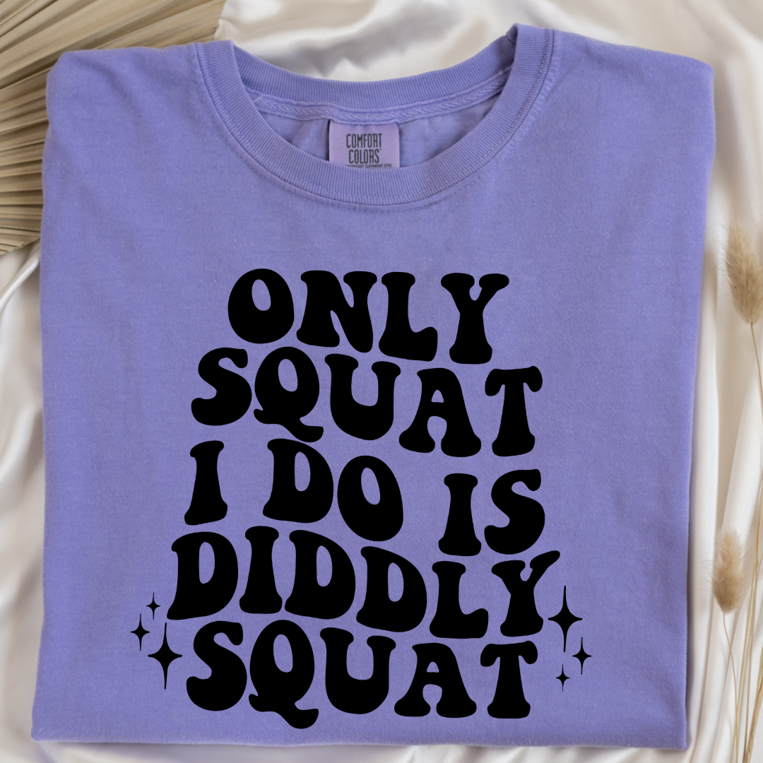 Customized Adult Comfort Colors Violet graphic tee with bubble letters only squat I do is diddly squat with 3 twinkles on each side. Matching hoodies and crewnecks in youth and adult sizes available.