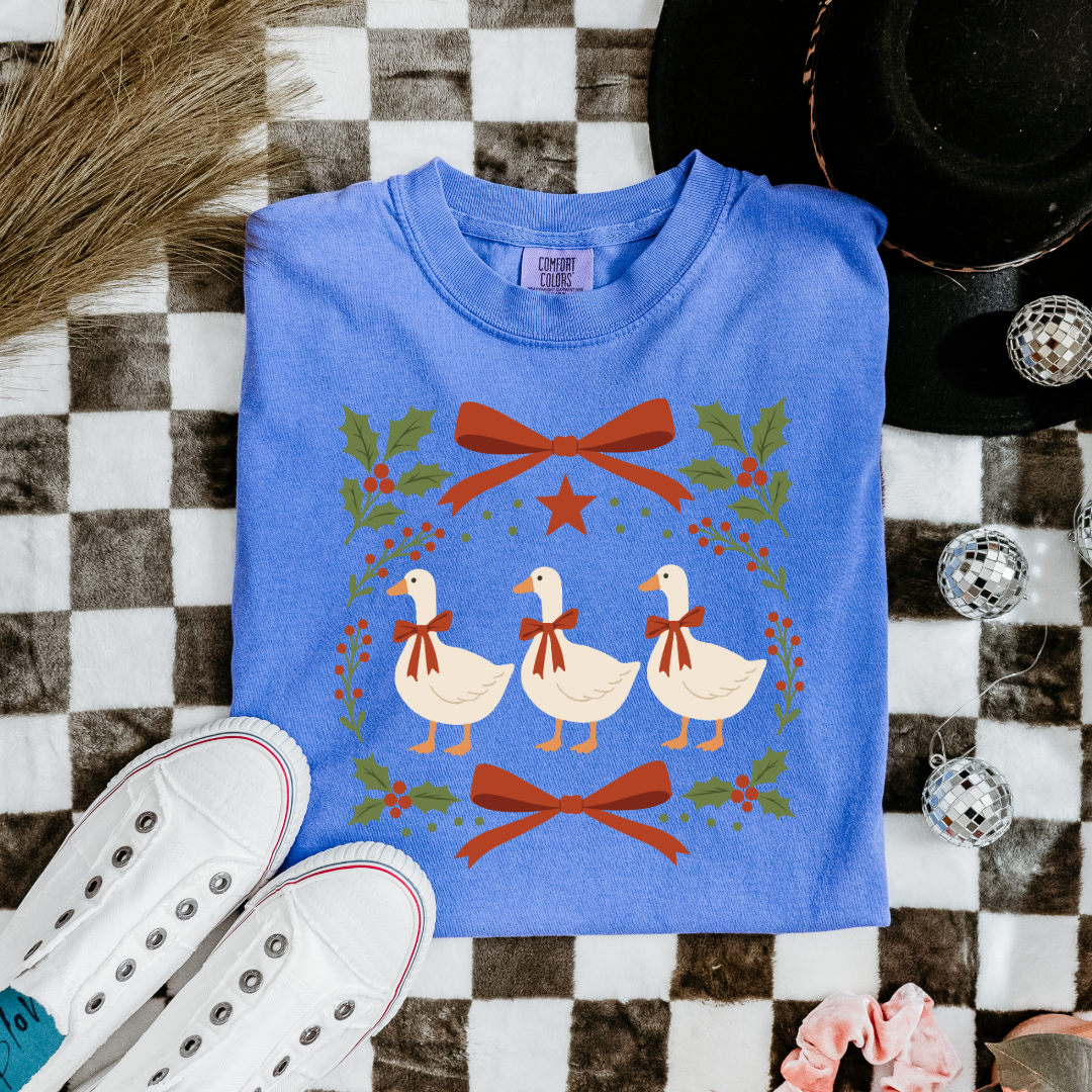 Red Bow Porch Geese Youth Graphic Tee & Crewneck