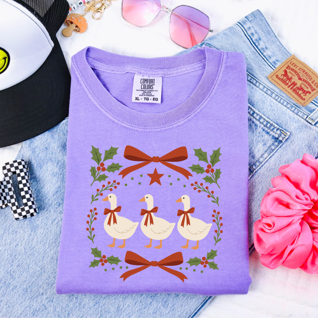 Red Bow Porch Geese Youth Graphic Tee & Crewneck