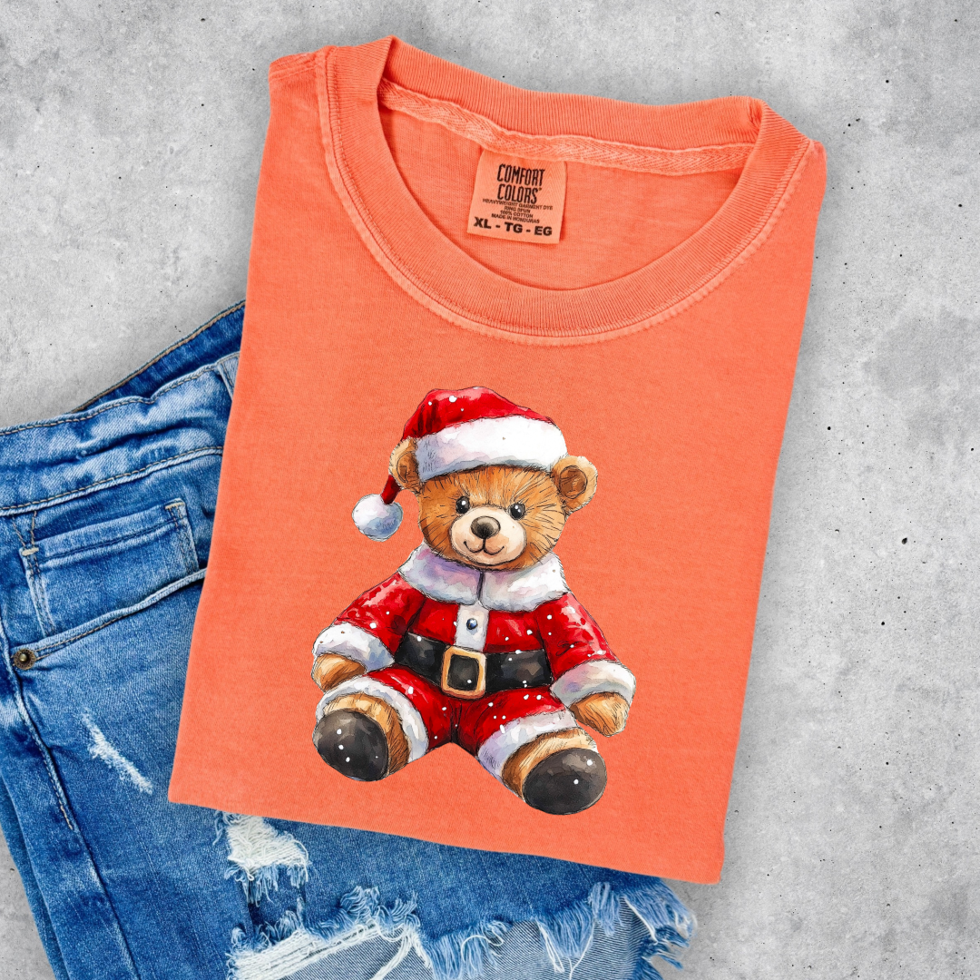 Santa Teddy Youth Graphic Tee and Crewneck