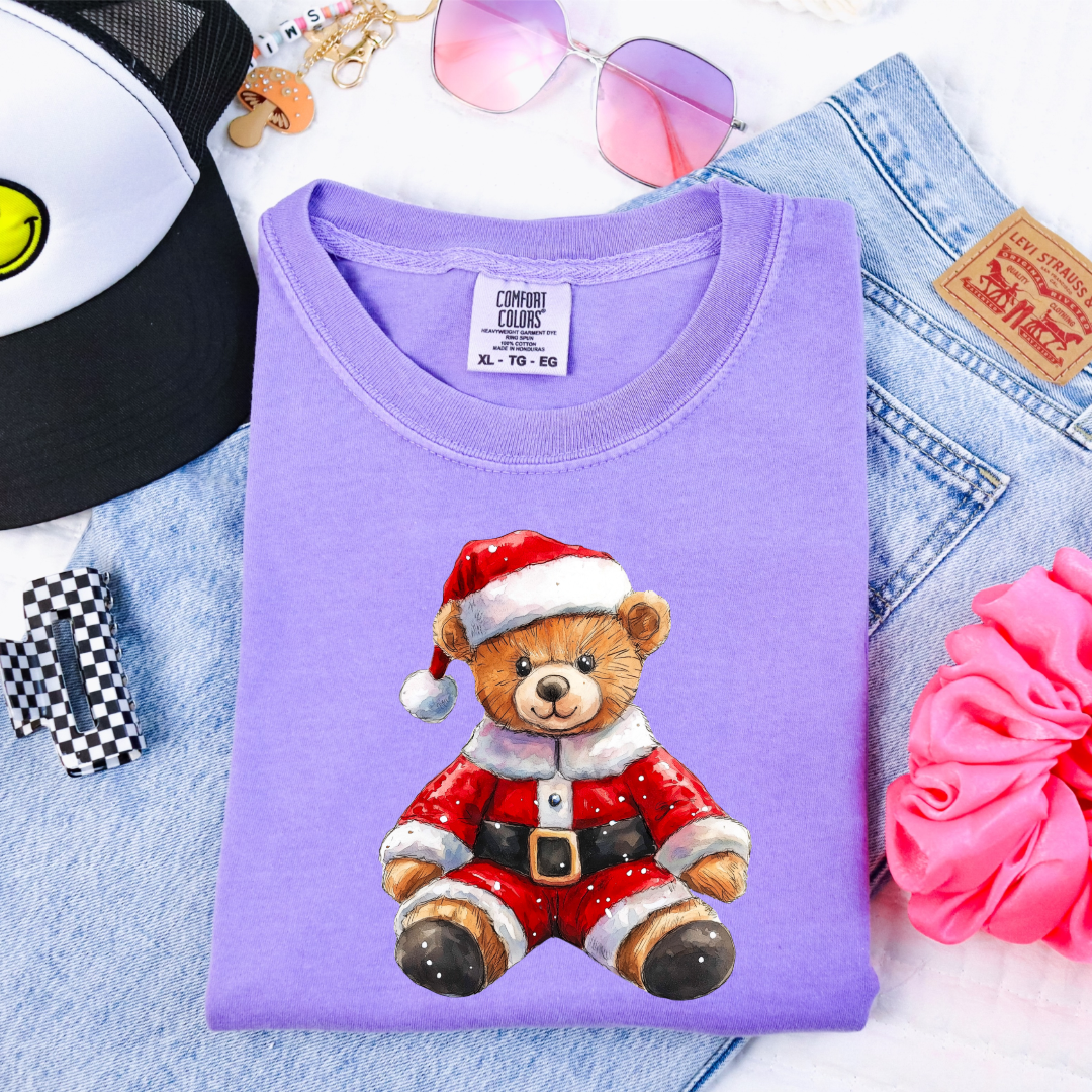 Santa Teddy Youth Graphic Tee and Crewneck