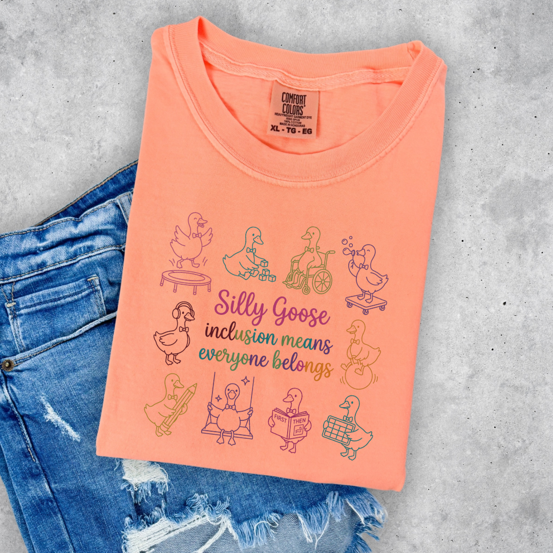 Silly Goose Graphic Tee & Crewneck